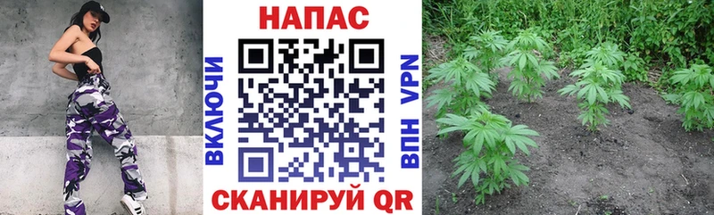 Где продают наркотики Ряжск Канабис 