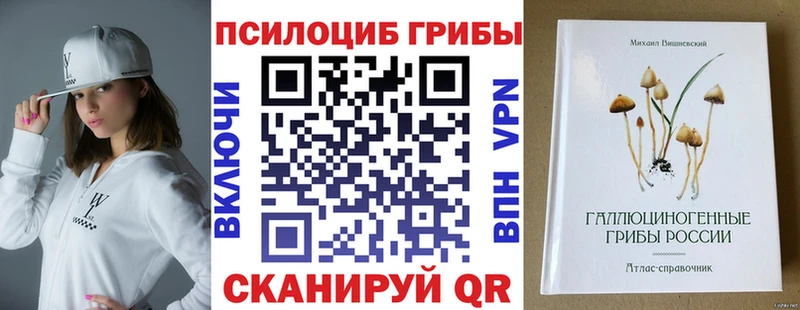 где продают   Ряжск  Галлюциногенные грибы GOLDEN TEACHER 