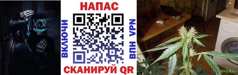 Марихуана THC 21% Ряжск